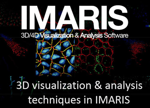 Imaris For Core Facilities and Satellite Licenses