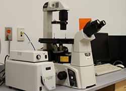 Belfer Nikon Ti-S Flourescence Microscope